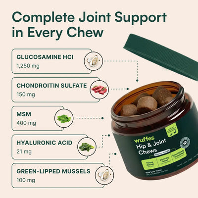 Hip & Joint