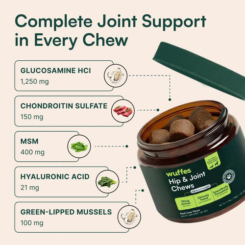 Hip & Joint