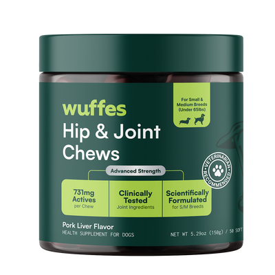 Hip & Joint