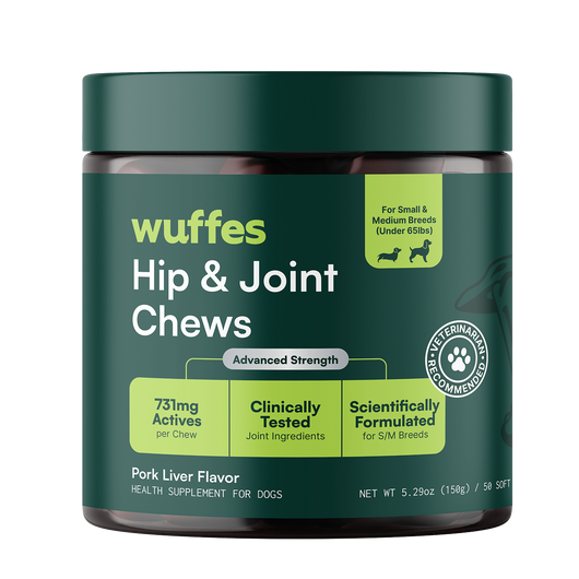 Hip & Joint
